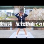 【反転】ヒロイン育成計画 踊ってみた【練習用】