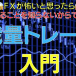 ＦＸで超初心者が稼ぐ方法