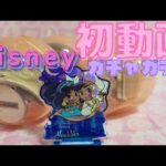 【初投稿】ディズニー ヒーロー＆ヒロイン アクリルスタンド ぴた!でふぉめ