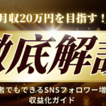 月収20万円を目指す！初心者でもできるSNSフォロワー増加＆収益化ガイド