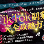 【TikTok副業完全攻略ガイド】初心者からでもバズり動画を作成し1万フォロワーを目指す方法
