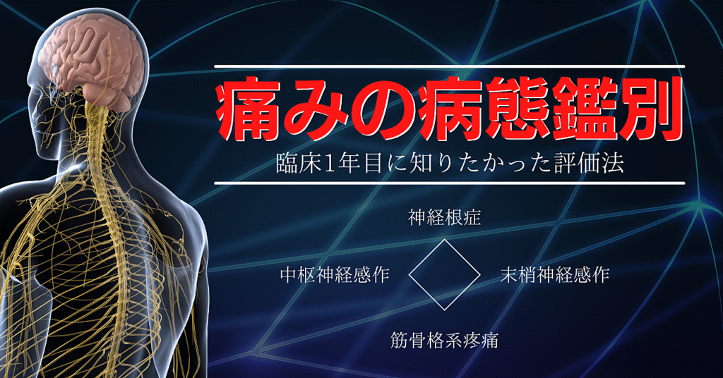 あなたはできるか　痛みの病態鑑別　臨床1年目で知りたかった評価法