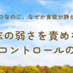「我慢ゼロなのに、なぜか食欲が静かになる。──意志の弱さを責めない食欲コントロールの真実」